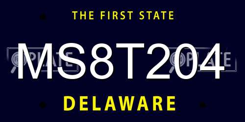 MS8T204 Delaware License Plate