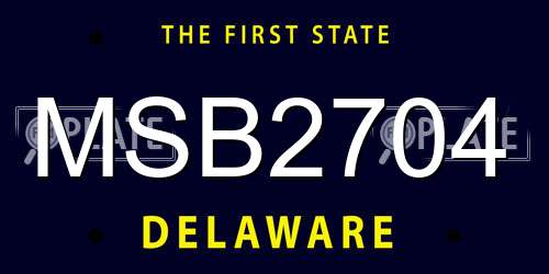 MSB2704 Delaware License Plate