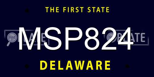MSP824 Delaware License Plate