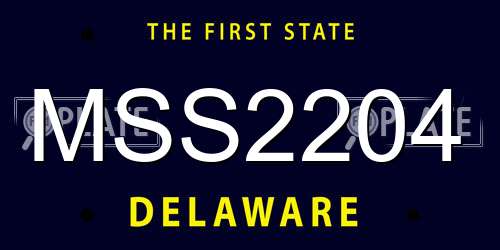MSS2204 Delaware License Plate