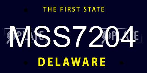 MSS7204 Delaware License Plate