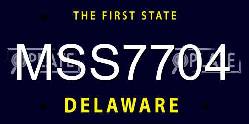 MSS7704 Delaware License Plate