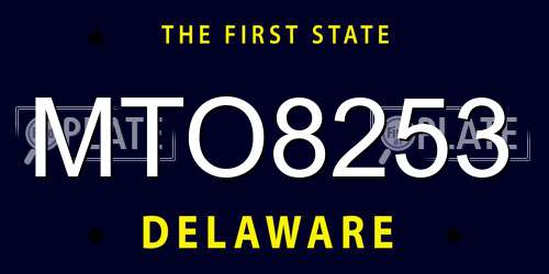 MTO8253 Delaware License Plate