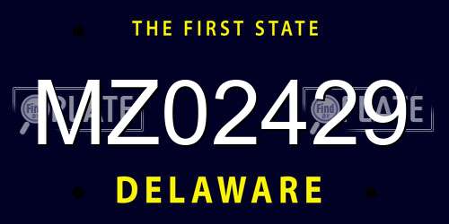 MZ02429 Delaware License Plate