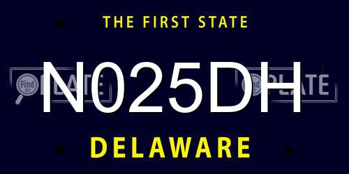N025DH Delaware License Plate