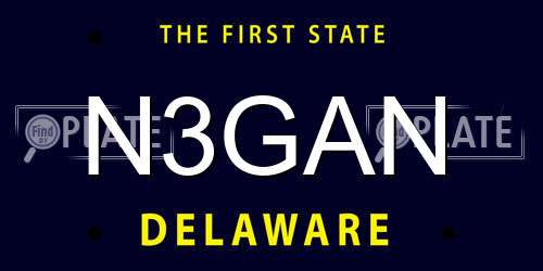 N3GAN Delaware License Plate