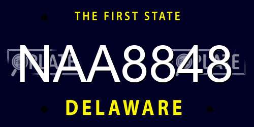 NAA8848 Delaware License Plate
