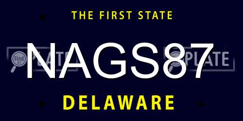 NAGS87 Delaware License Plate