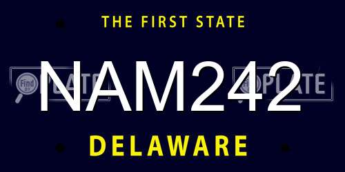 NAM242 Delaware License Plate