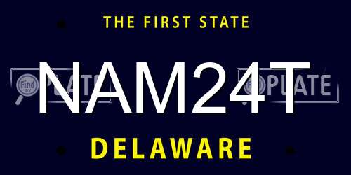 NAM24T Delaware License Plate