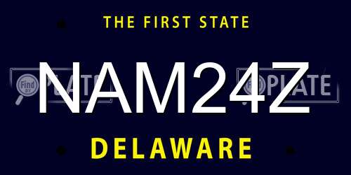 NAM24Z Delaware License Plate