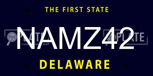 NAMZ42 Delaware License Plate