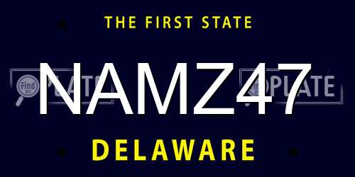 NAMZ47 Delaware License Plate