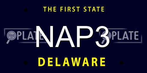 NAP3 Delaware License Plate