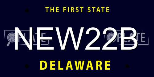NEW22B Delaware License Plate
