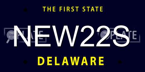 NEW22S Delaware License Plate