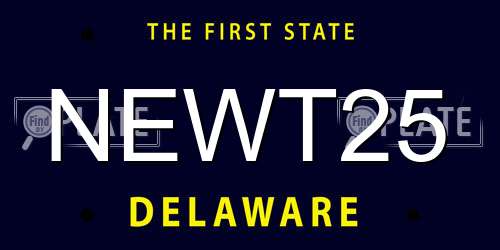 NEWT25 Delaware License Plate