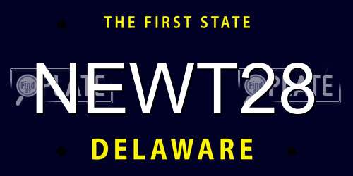 NEWT28 Delaware License Plate