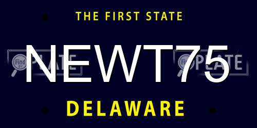 NEWT75 Delaware License Plate