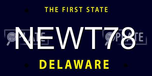 NEWT78 Delaware License Plate