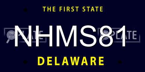 NHMS81 Delaware License Plate