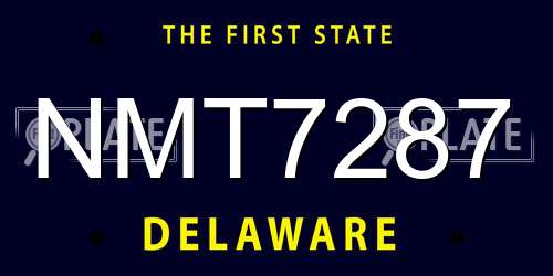 NMT7287 Delaware License Plate