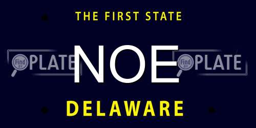 NOE Delaware License Plate