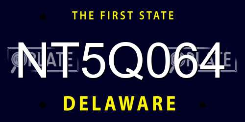 NT5Q064 Delaware License Plate