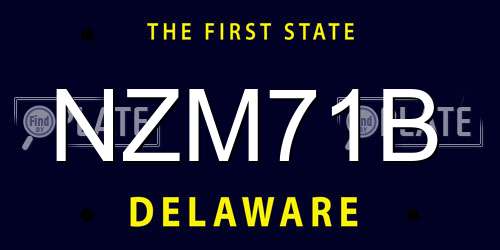 NZM71B Delaware License Plate