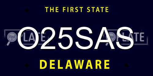 O25SAS Delaware License Plate