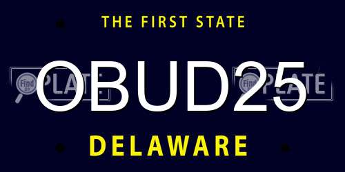 OBUD25 Delaware License Plate