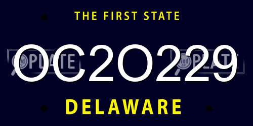 OC2O229 Delaware License Plate