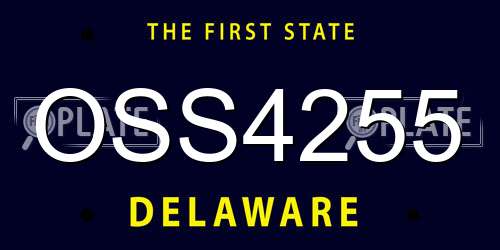OSS4255 Delaware License Plate