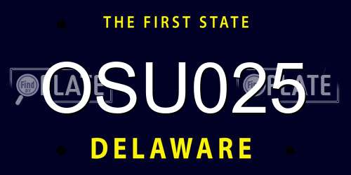 OSU025 Delaware License Plate