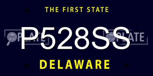 P528SS Delaware License Plate