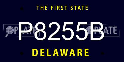 P8255B Delaware License Plate