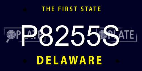 P8255S Delaware License Plate