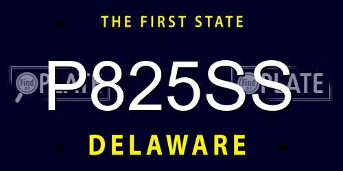 P825SS Delaware License Plate