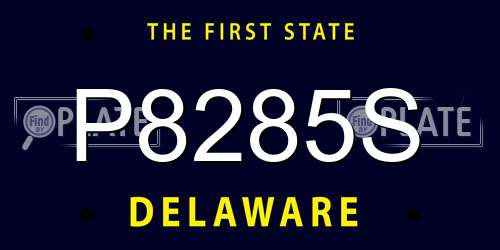 P8285S Delaware License Plate