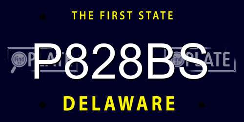 P828BS Delaware License Plate