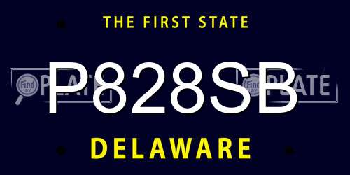 P828SB Delaware License Plate