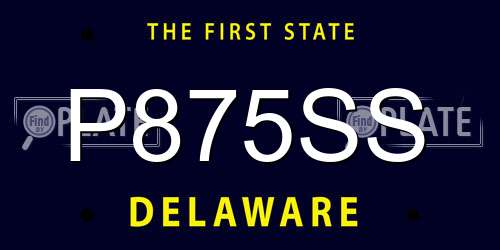P875SS Delaware License Plate