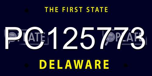 PC125773 Delaware License Plate