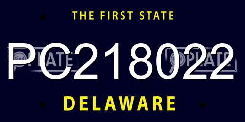 PC218022 Delaware License Plate