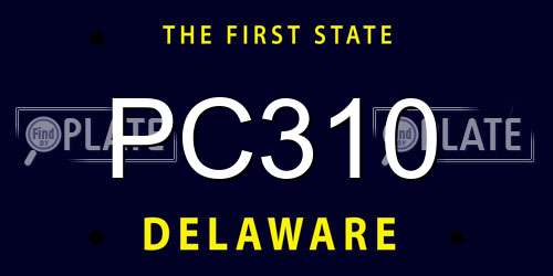 PC310 Delaware License Plate