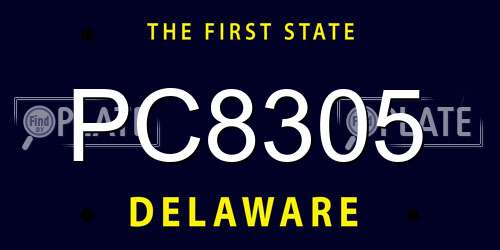 PC8305 Delaware License Plate