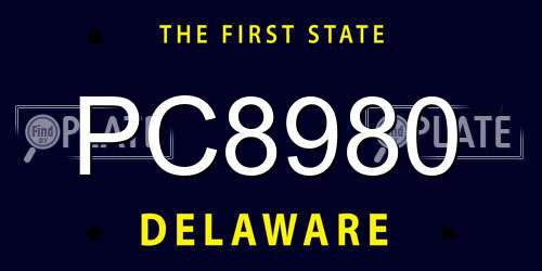 PC8980 Delaware License Plate