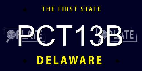 PCT13B Delaware License Plate