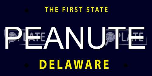 PEANUTE Delaware License Plate