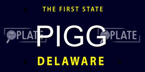 PIGG Delaware License Plate